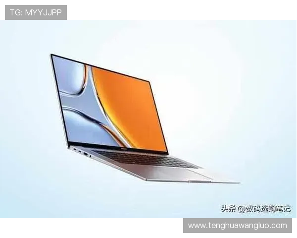 博9在2024年的新版本中有哪些值得期待的变化和优化