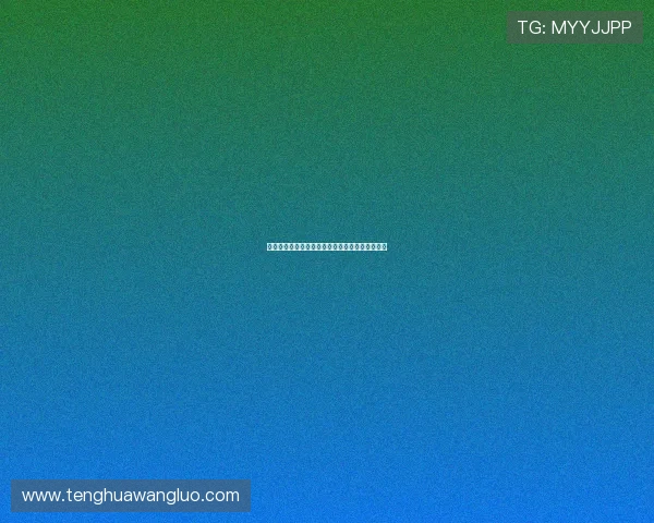 凯发梭哈德州扑克入门到高手的成长路径详尽指南