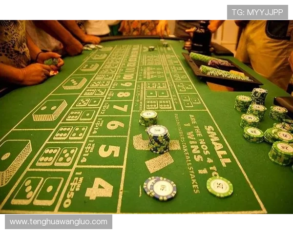 深入比较百家乐与21点的规则、玩法及胜率分析助你选择更适合的赌场游戏