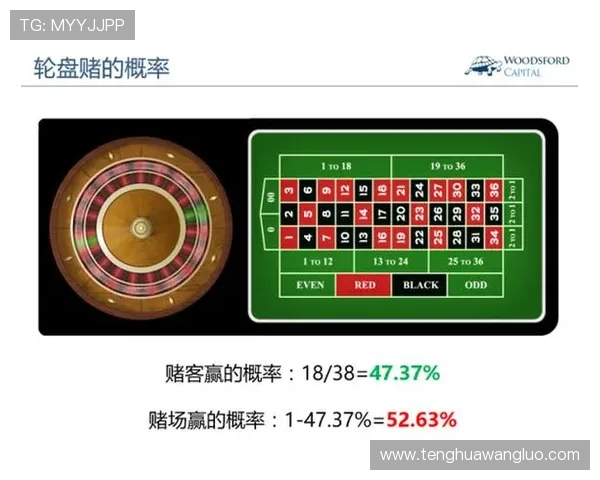 欧洲申博网站如何选择，专业分析帮助你找到最适合的博彩平台