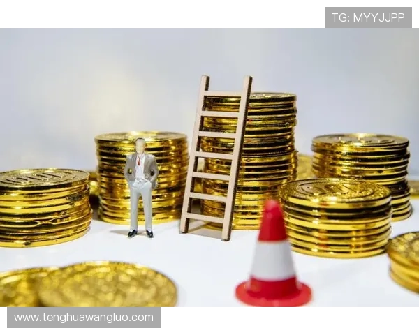 金凤凰平台：为中小企业提供全方位金融解决方案的可靠平台